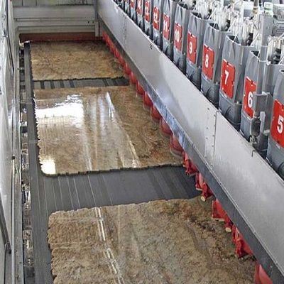 Polissoir de tranches automatique " breton " 