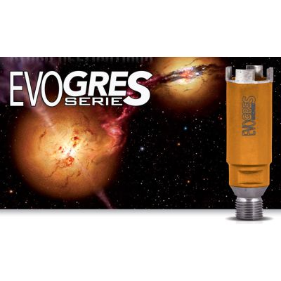 Comartex.com - Forêt 